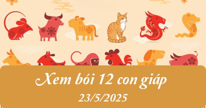 Xem bói 12 con giáp ngày 23/5/2025 có gì Xem bói 12 con giáp ngày 23/5/2025 có gì