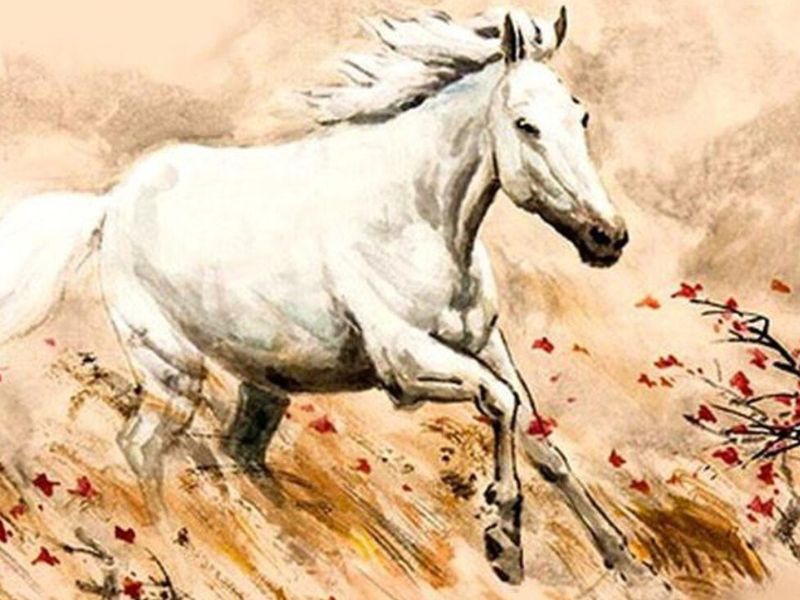 Xem bói 12 con giáp ngày 23/5/2025: Dự đoán vận may và lời khuyên cho từng con giáp 2 Xem bói 12 con giáp tuổi Ngọ