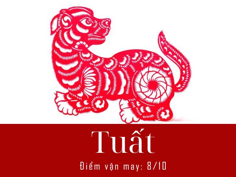 Xem bói hàng ngày tuổi Tuất