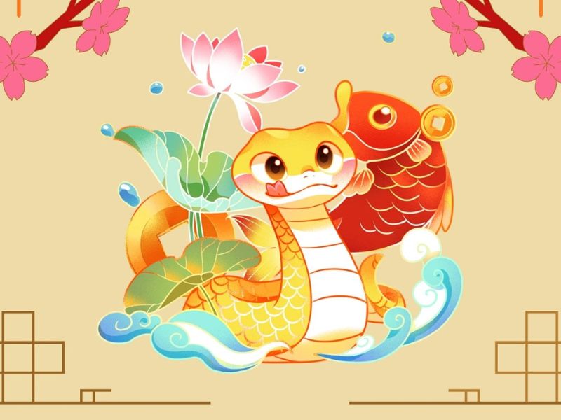 Xem bói hằng ngày tuổi Tỵ