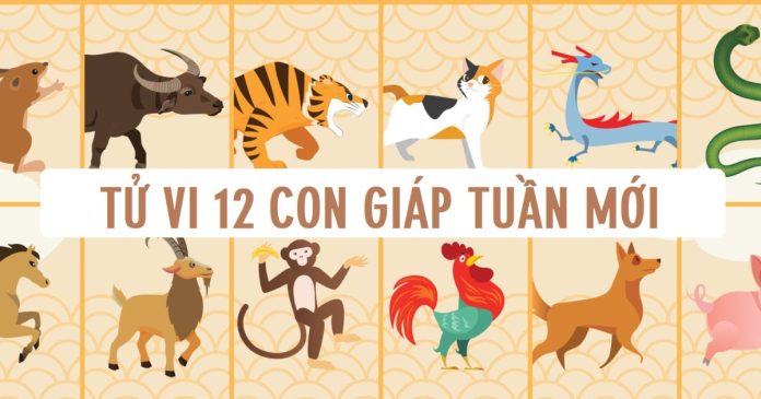 Xem bói trong tuần 2/6 - 8/6/2025