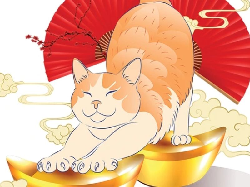 Xem bói hằng ngày 24/5 tuổi Mão