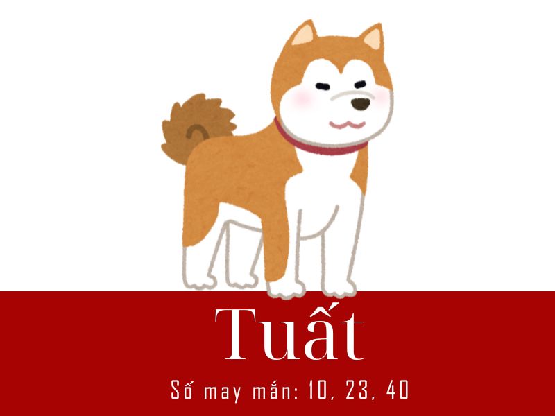 Bói 12 con giáp tuần mới 16/6/2025 - 22/6/2025 11 Bói 12 con giáp tuần mới 16 - 22/6/2025 -11