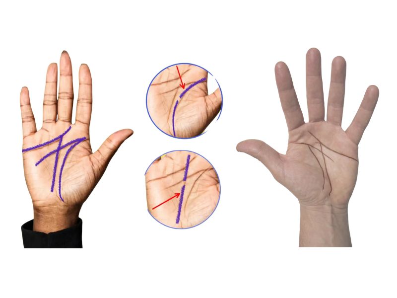 Đường chỉ tay chữ M 3