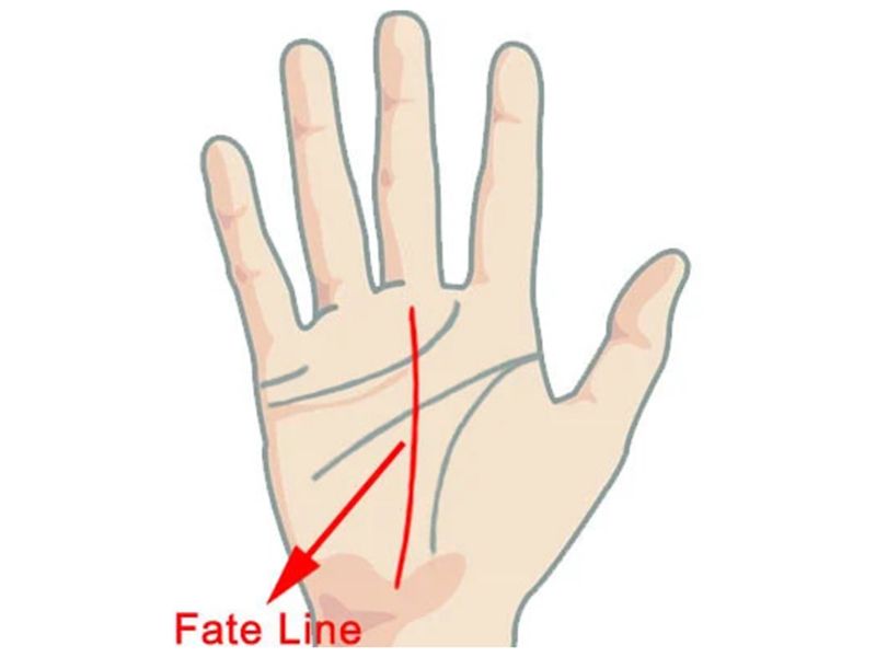 Đường chỉ tay sự nghiệp 1