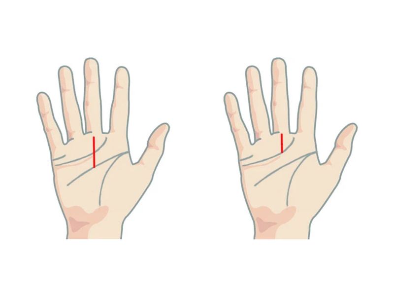 Đường chỉ tay sự nghiệp 3