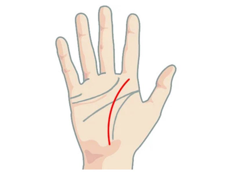 Đường chỉ tay sự nghiệp 5