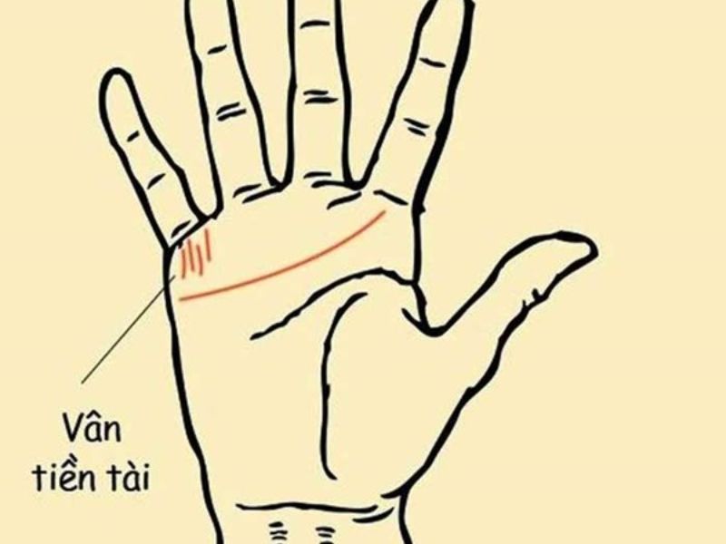 Đường chỉ tay tài lộc: Top 5 đường chỉ tay báo hiệu giàu sang thời tới cản không kịp 3 Đường chỉ tay tài lộc 3
