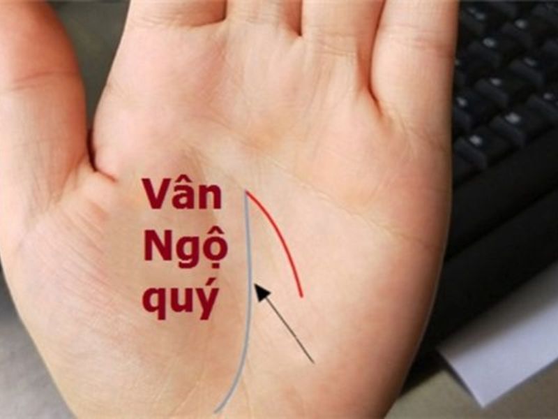 Đường chỉ tay tài lộc: Top 5 đường chỉ tay báo hiệu giàu sang thời tới cản không kịp 4 Đường chỉ tay tài lộc 4