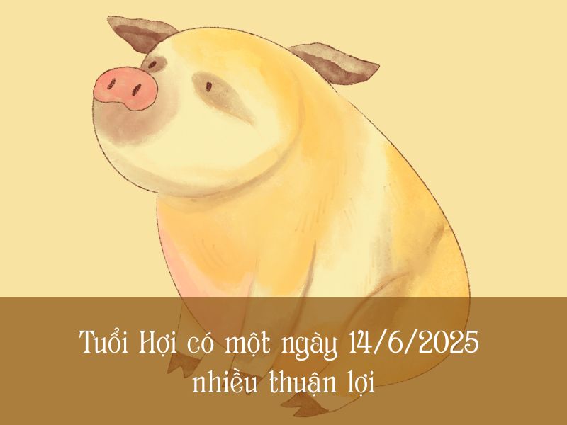 tử vi của bạn tuổi Hợi