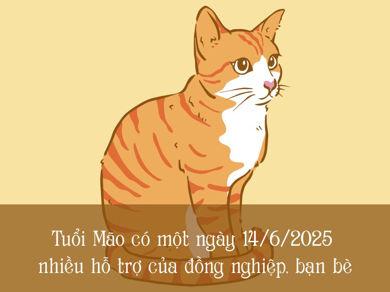 tử vi của bạn tuổi mão