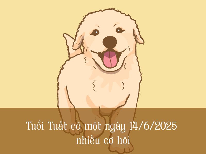 tử vi của bạn tuổi Tuất