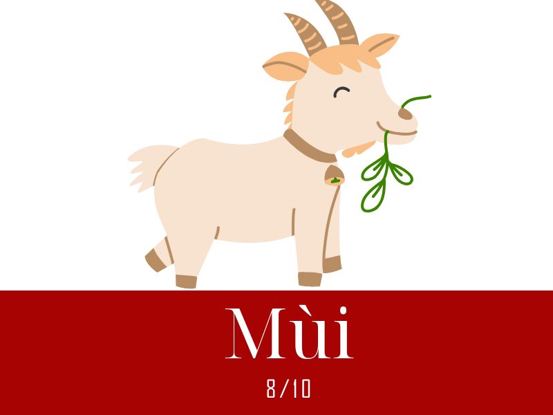 Xem bói mỗi ngày: Chấm điểm vận may 12 con giáp trong ngày 12/6/2025 8 xem bói mỗi ngày tuổi Mùi ngày 12/6/2025