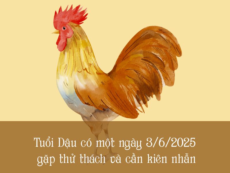 Xem bói tử vi ngày 03/06/2025 tuổi Dậu