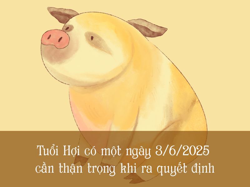 Xem bói tử vi ngày 03/06/2025 tuổi Hợi