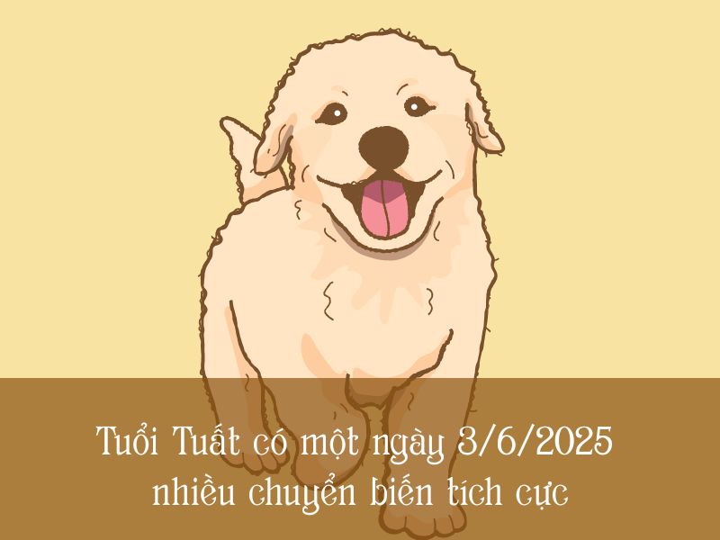Xem bói tử vi ngày 03/06/2025 tuổi Tuất