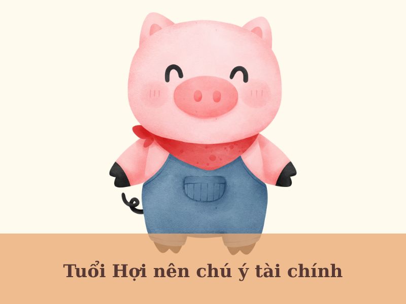 Xem bói tử vi 12 con giáp ngày 6/6/2025 tuổi Hợi