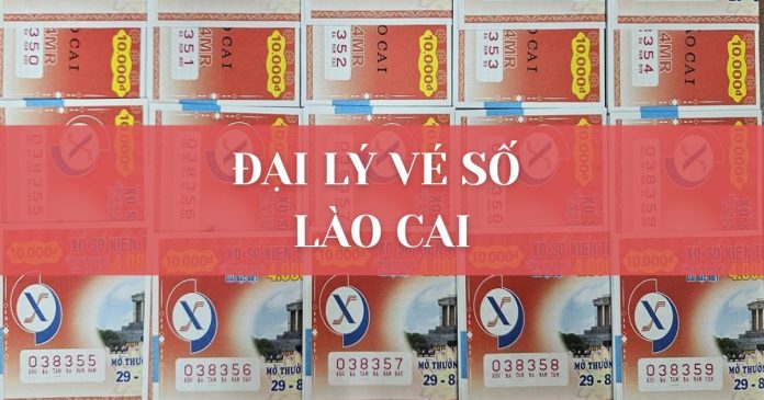 Đại lý cé số Lào Cai địa chỉ uy tín