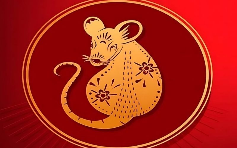 Chi tiết tử vi 12 con giáp ngày 01/12/2025