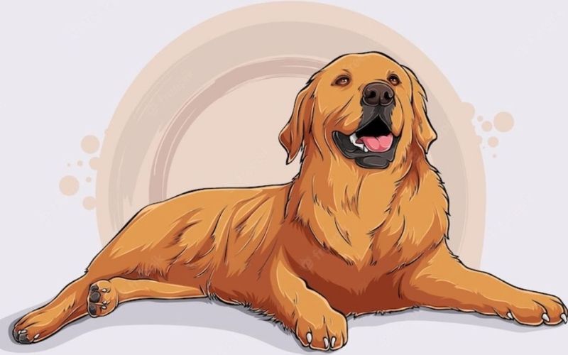 Tử vi tuổi Tuất ngày 01/12/2025