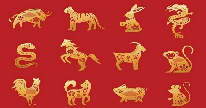 Xem tử vi 12 con giáp ngày 01/12/2025: Tài lộc, công việc