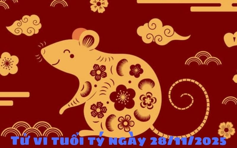 Tổng hợp tử vi 12 con giáp ngày 28/11/2025