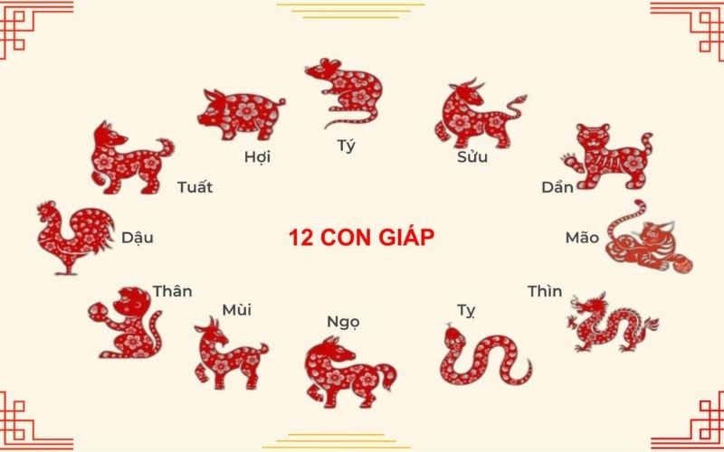 Tổng hợp tử vi 12 con giáp ngày 28/11/2025
