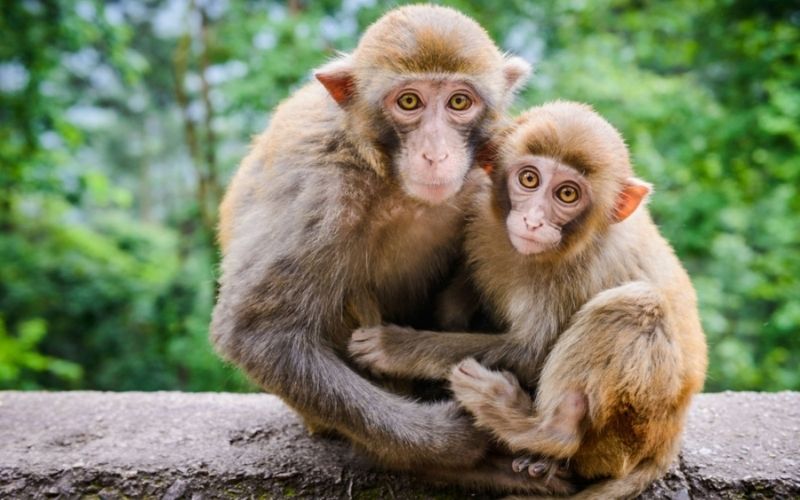 Tử vi tuổi Sửu ngày 30/11/2025