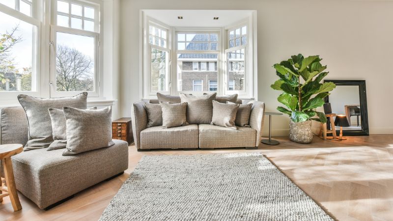 Cây may mắn - Bàng Singapore