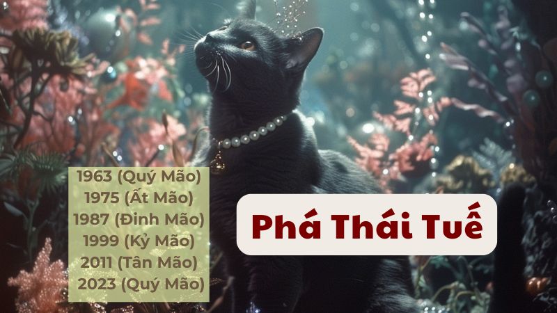 Phạm Thái Tuế 2026 - Tuổi Mão