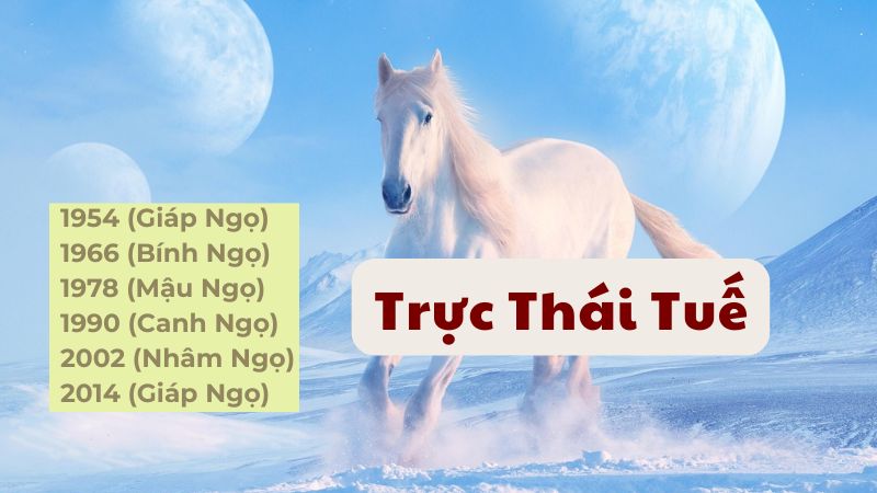 Phạm Thái Tuế 2026 - Tuổi Ngọ