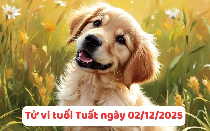 Xem tử vi 12 con giáp ngày 02/12/2025 mới nhất, dự đoán tài vận 11 Chi tiết tử vi 12 con giáp ngày 02/12/2025