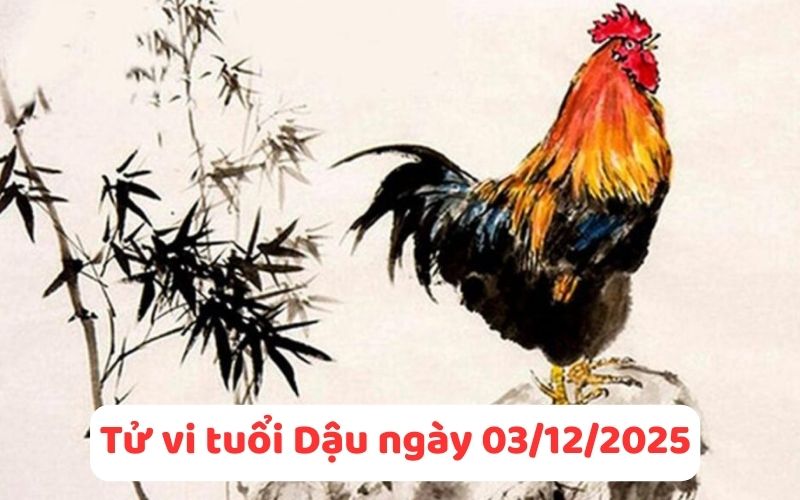 Phân tích tử vi 12 con giáp ngày 03/12/2025, tình duyên - tài lộc 10 Tử vi 12 con giáp ngày 03/12/2025.