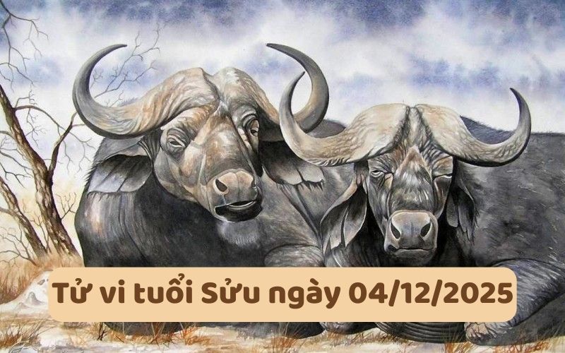 Lá số tử vi 12 con giáp ngày 04/12/2025 chi tiết từng tuổi 2 Lá số tử vi 12 con giáp ngày 04/12/2025
