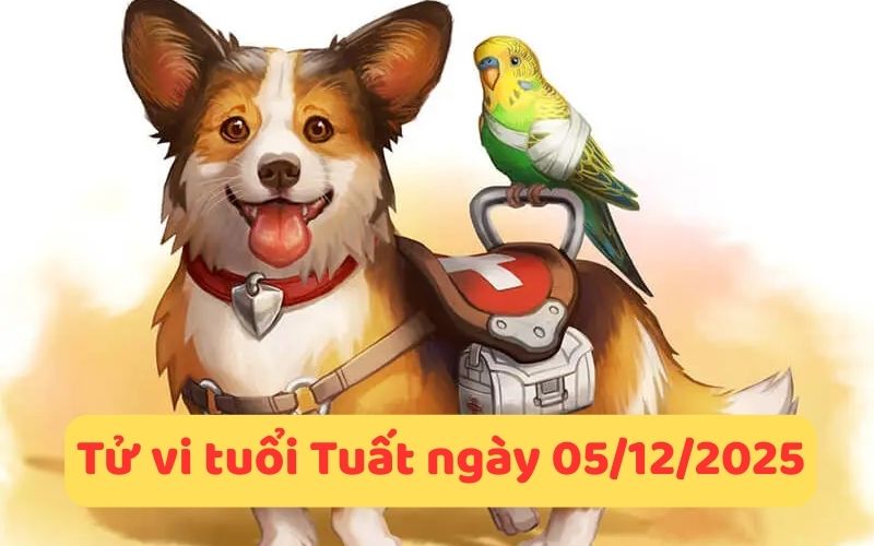 Phân tích tử vi 12 con giáp ngày 05/12/2025 chi tiết 11 Phân tích tử vi 12 con giáp ngày 05/12/2025 chi tiết