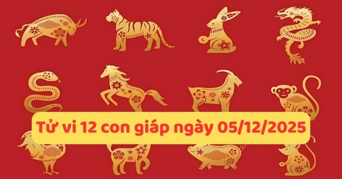 tu-vi-12-con-giap-ngay-05-12-2025 Phân tích tử vi 12 con giáp ngày 05/12/2025 chi tiết