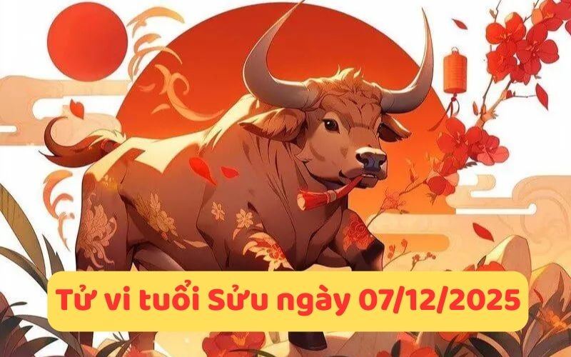Tử vi 12 con giáp ngày 07/12/2025