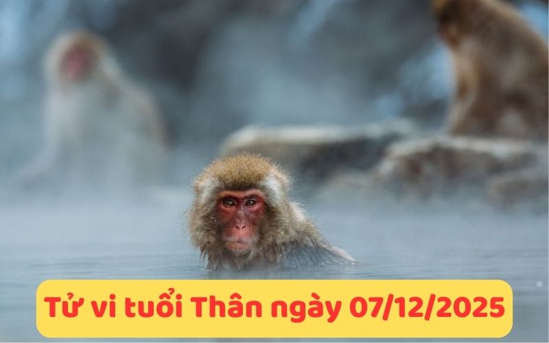 Tử vi 12 con giáp ngày 07/12/2025
