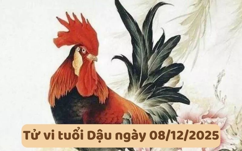 Xem tử vi 12 con giáp ngày 08/12/2025 chi tiết từng tuổi