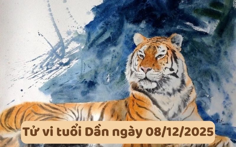 Xem tử vi 12 con giáp ngày 08/12/2025 chi tiết từng tuổi
