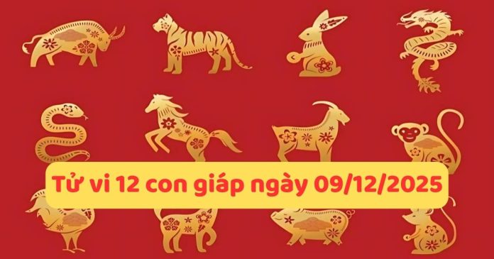Tử vi 12 con giáp ngày 09/12/2025 - Dự đoán vận trình
