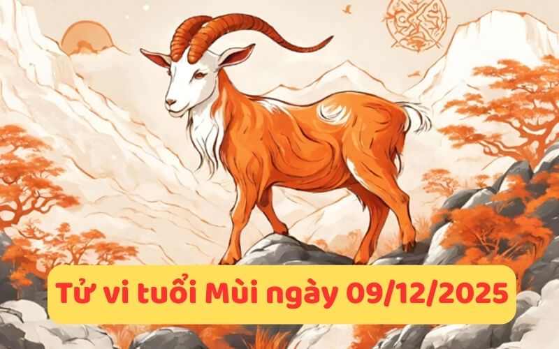 Xem tử vi 12 con giáp ngày 09/12/2025