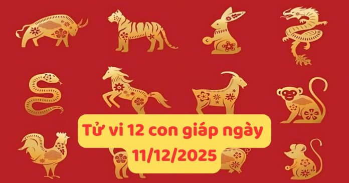tử vi 12 con giáp ngày 11/12/2025