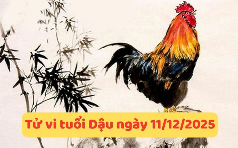 Chi tiết tử vi 12 con giáp ngày 11/12/2025
