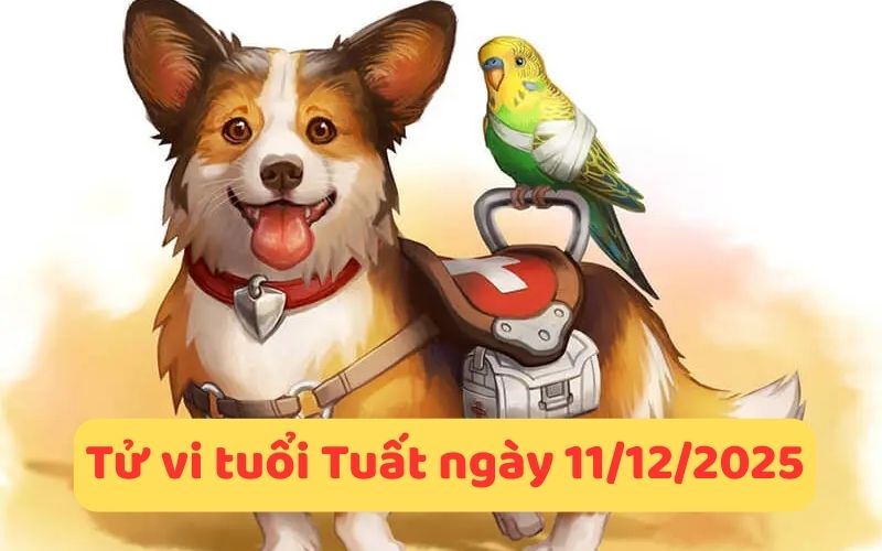 Chi tiết tử vi 12 con giáp ngày 11/12/2025