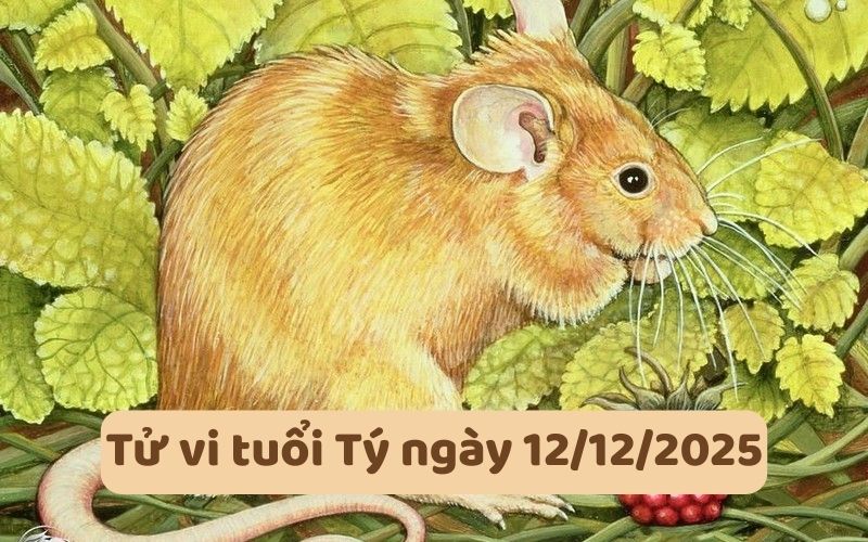 Xem tử vi 12 con giáp ngày 12/12/2025, luận giải chi tiết 1 Xem tử vi 12 con giáp ngày 12/12/2025