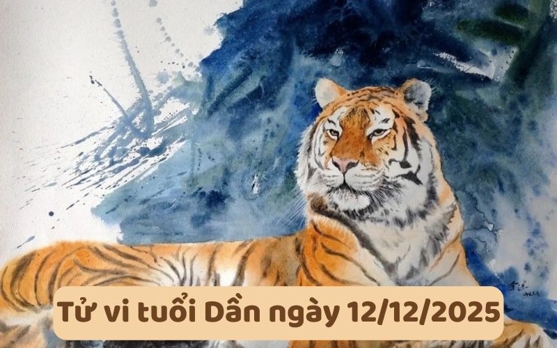 Xem tử vi 12 con giáp ngày 12/12/2025, luận giải chi tiết 3 Xem tử vi 12 con giáp ngày 12/12/2025