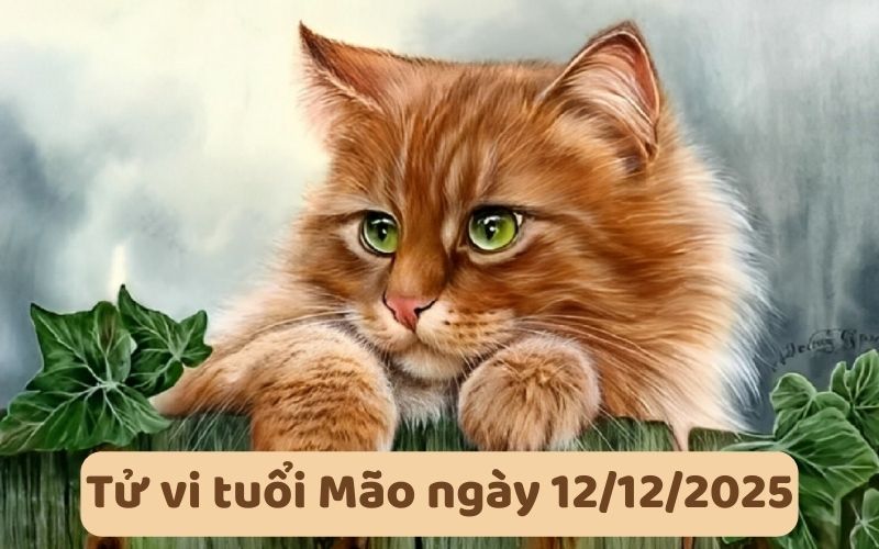 Xem tử vi 12 con giáp ngày 12/12/2025, luận giải chi tiết 4 Xem tử vi 12 con giáp ngày 12/12/2025