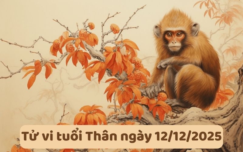 Xem tử vi 12 con giáp ngày 12/12/2025, luận giải chi tiết 9 Xem tử vi 12 con giáp ngày 12/12/2025