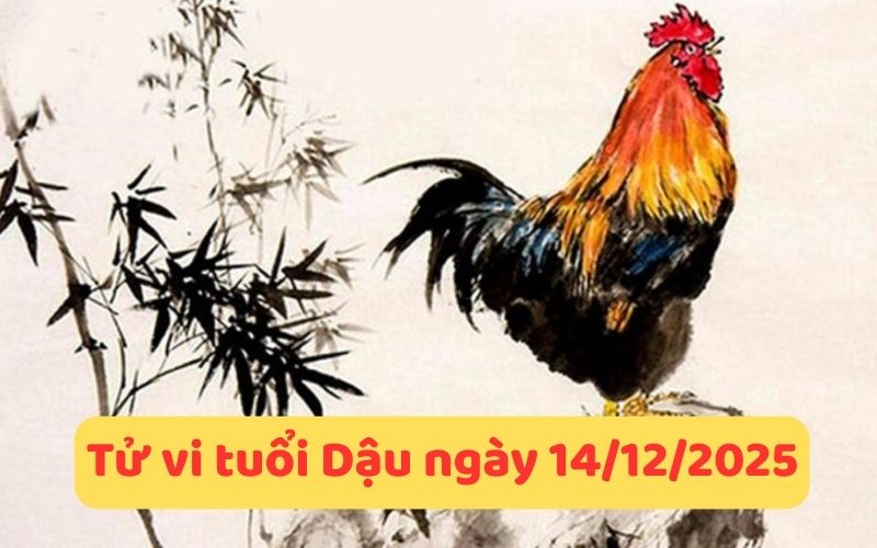 Xem tử vi 12 con giáp ngày 14/12/2025 - Ngày Đinh Tỵ